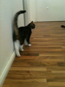 2013-08-27 00.17.29.jpg