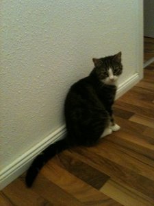 2013-08-27 00.17.34.jpg