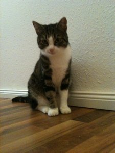 2013-08-27 00.18.27.jpg