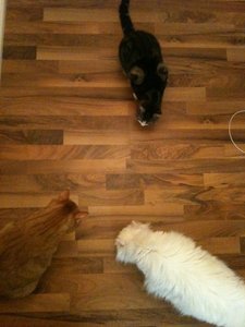 2013-08-27 00.20.45.jpg