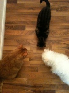 2013-08-27 00.21.20.jpg