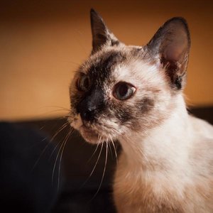 Kopie von _DSC0233-16.JPG