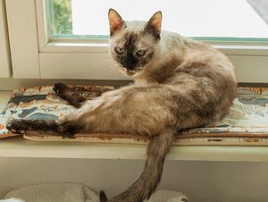 Kopie von _DSC0282-9.JPG