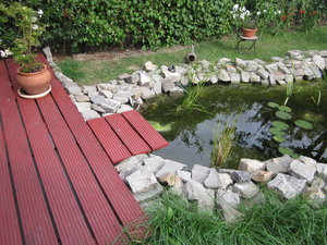 Gartenteich 001.JPG