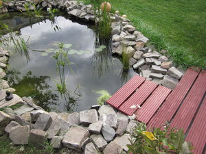 Gartenteich 002.JPG