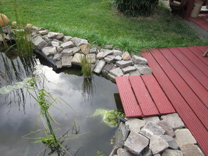 Gartenteich 003.JPG
