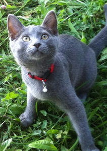 02-09-2013 15-59-56.jpg