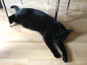 ImageUploadedByTapatalk 21378150132.439680.jpg