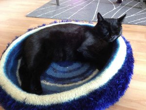 ImageUploadedByTapatalk 21378150289.989844.jpg