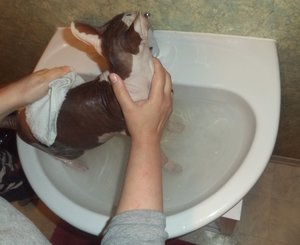 Mullmulls Badetag 1.JPG