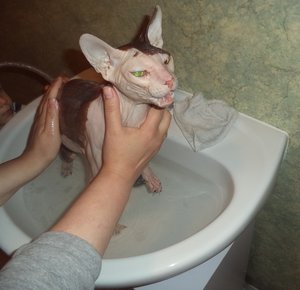 Mullmulls Badetag 3.JPG