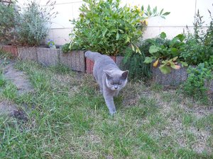 Kasi lass mich doch in Ruhe.jpg