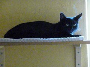 Kopie von P1050813.JPG