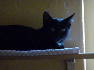 Kopie von P1050815.JPG