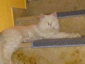 K640_failie 056 - Kopie.JPG