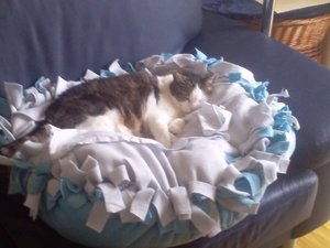 Paulchen findets gut.jpg