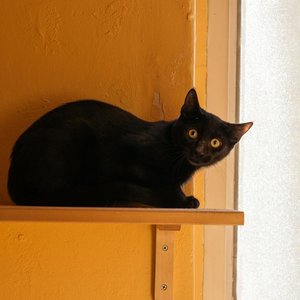 Kopie von _DSC0242-2.JPG