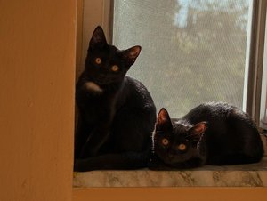 Kopie von _DSC0235-2.JPG