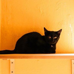 Kopie von _DSC0245-2.JPG