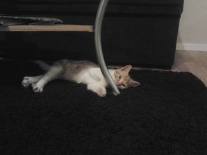 2013-09-10 20.34.53.jpg