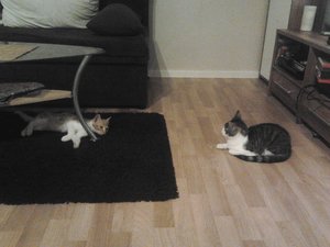 2013-09-10 20.34.42.jpg