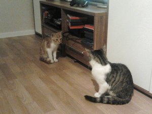 2013-09-10 20.39.02.jpg