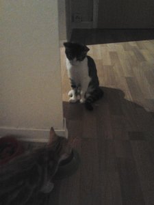 2013-09-10 20.58.27.jpg