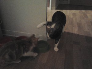 2013-09-10 21.00.28.jpg