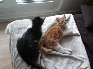 2013-09-11 14.30.26.jpg