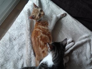 2013-09-11 14.30.40.jpg