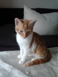 2013-09-11 14.44.48.jpg