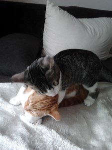 2013-09-11 14.45.13.jpg