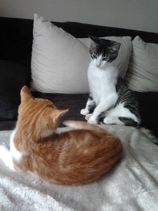 2013-09-11 14.45.42.jpg