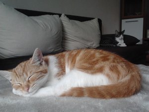 2013-09-11 15.05.51.jpg