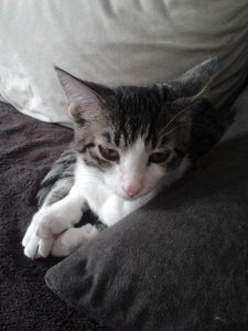 2013-09-11 15.06.11.jpg