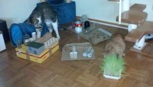 2013-09-13 09.03.14.jpg