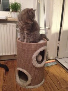 ImageUploadedByTapatalk1379098610.877407.jpg ImageUploadedByTapatalk1379098610.877407.jpg