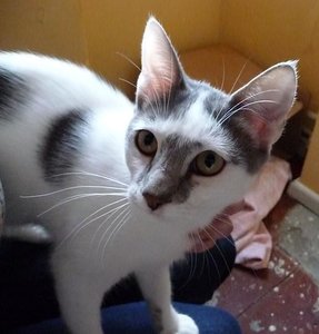 Kopie von P1050818.JPG