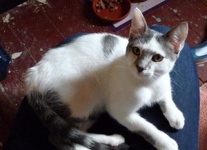 Kopie von P1050830.JPG