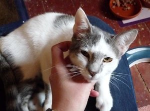 Kopie von P1050834.JPG