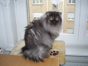 MY SCHÖNLING TOULLI.JPG