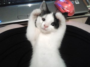 2012-05-22 22.24.06.jpg