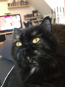 2013-08-31 13.11.30.jpg