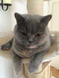 ImageUploadedByTapatalk 21379171291.273030.jpg