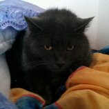 Bilder Handy 272.jpg