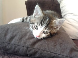 2013-07-06 20.36.59.jpg