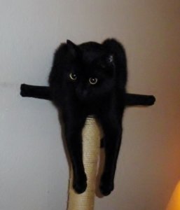 IMGP1602 (800x600).jpg