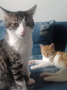 2013-09-16 14.57.26.jpg