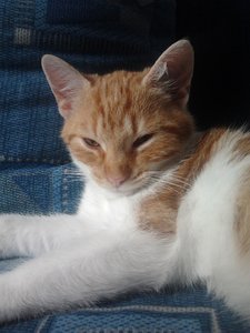 2013-09-16 14.57.34.jpg