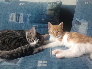 2013-09-16 14.58.08.jpg